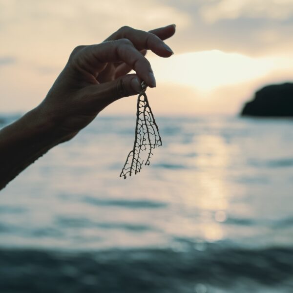 Pendientes gorgonias oro - Imagen 2