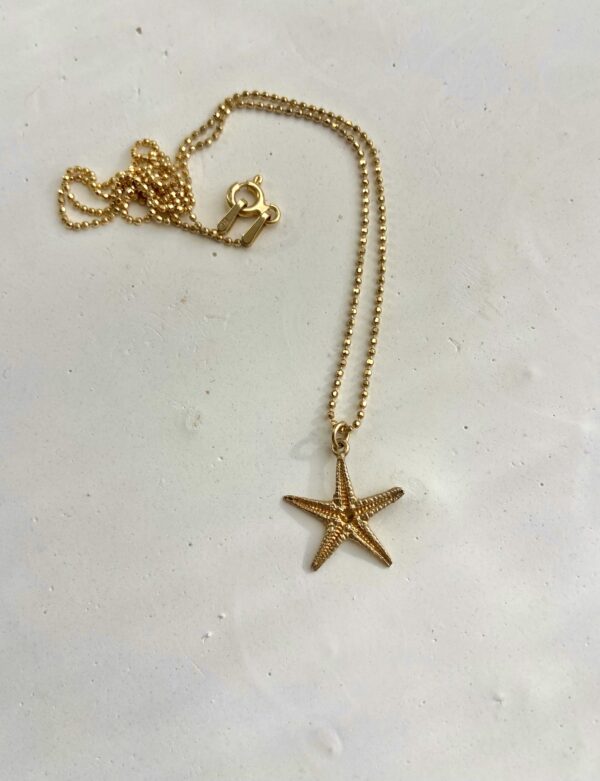 Colgante pequeña Estrella de mar oro