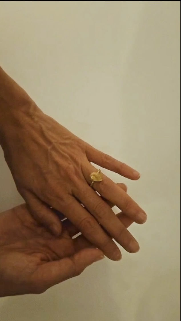 Anillo Oreja de mar oro